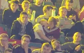 If These Esports Fans Aren't Giving Each Other Handjobs, They're Very Good Actors